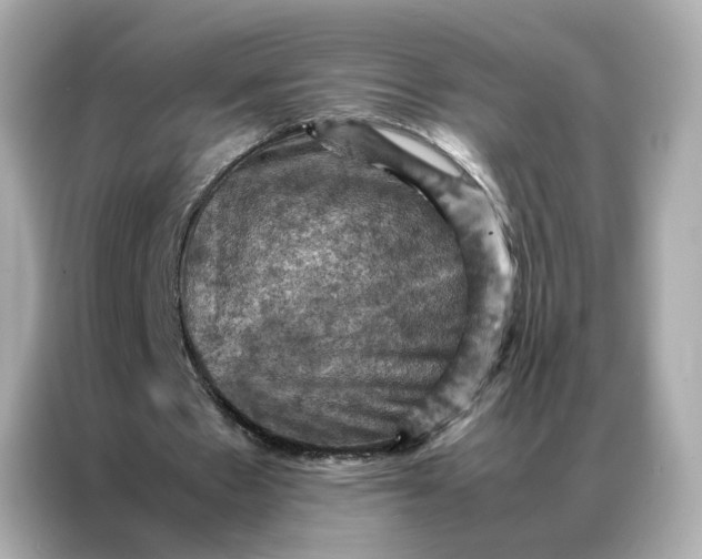 X0000086940481200704301140