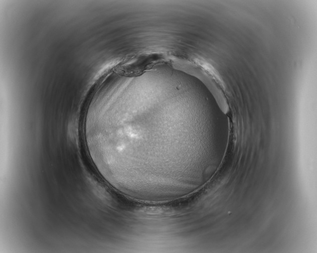 X0000086940482200704301140