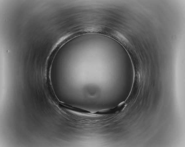 X0000086940484200704301140