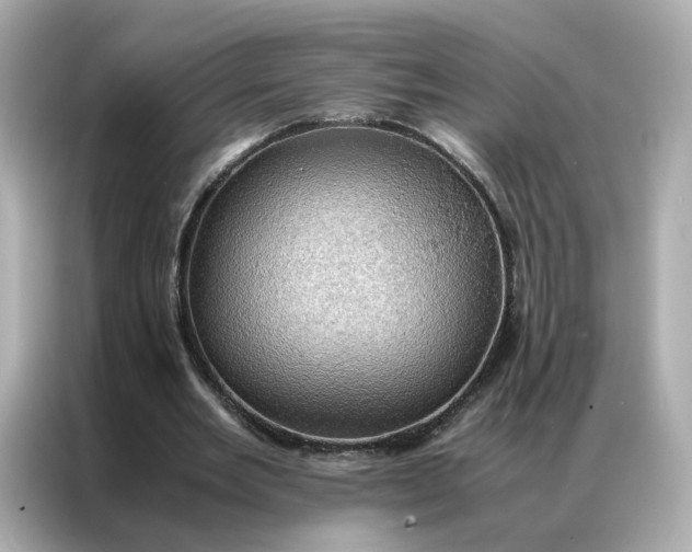 X0000086940485200704301140