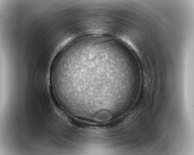 X0000086940486200704301140