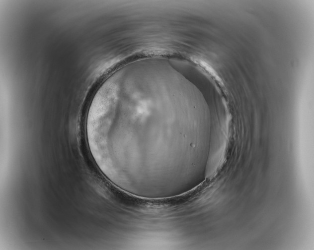 X0000086940487200704301140