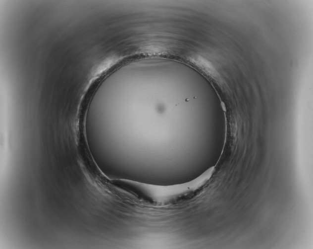 X0000086940488200704301140