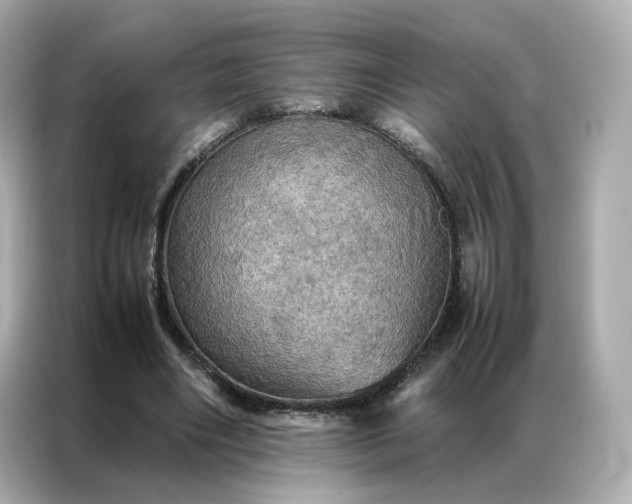 X0000086940490200704301140