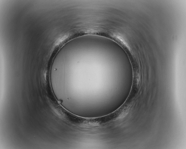 X0000086940491200704301140