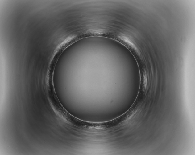 X0000086940492200704301140