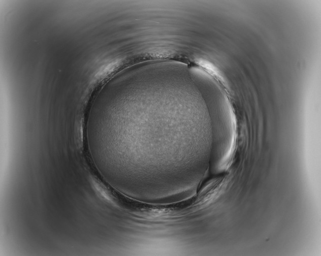 X0000086940493200704301140