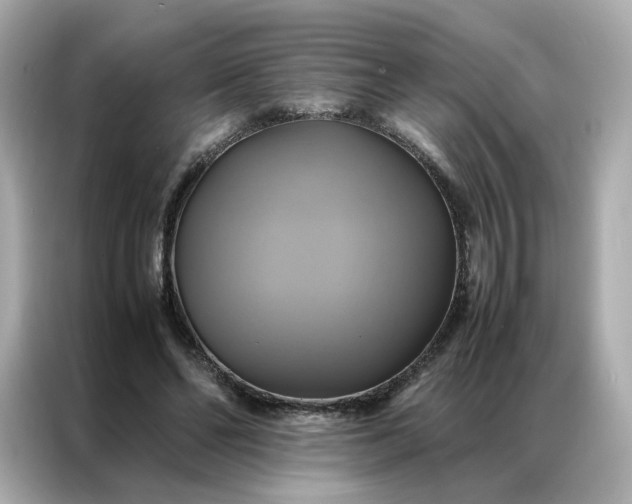 X0000086940494200704301140