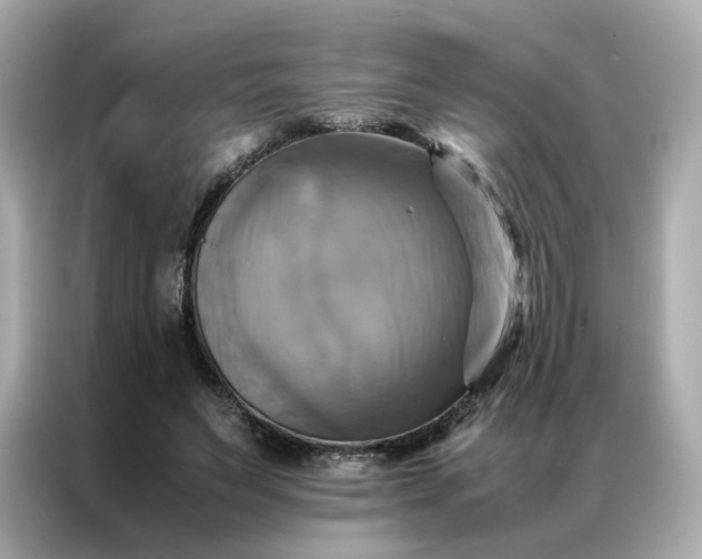 X0000086940495200704301140