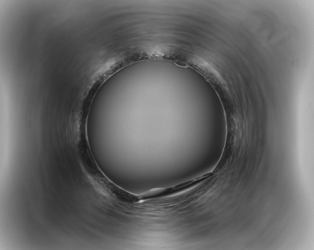 X0000086940496200704301140