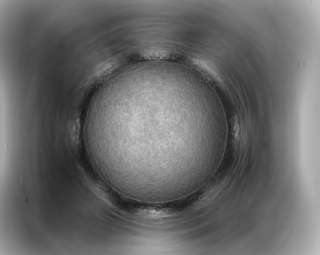 X0000086940498200704301140