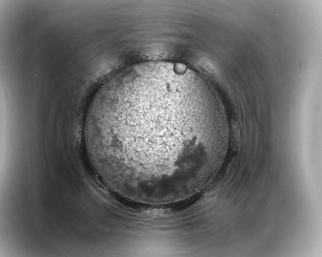 X0000086940499200704301140