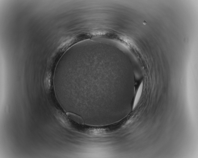 X0000086940501200704301140