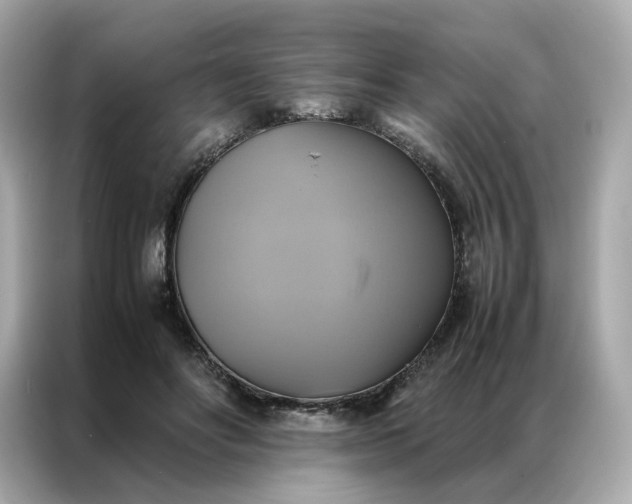 X0000086940502200704301140