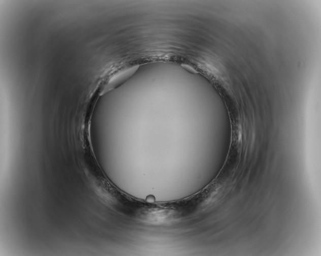 X0000086940504200704301140