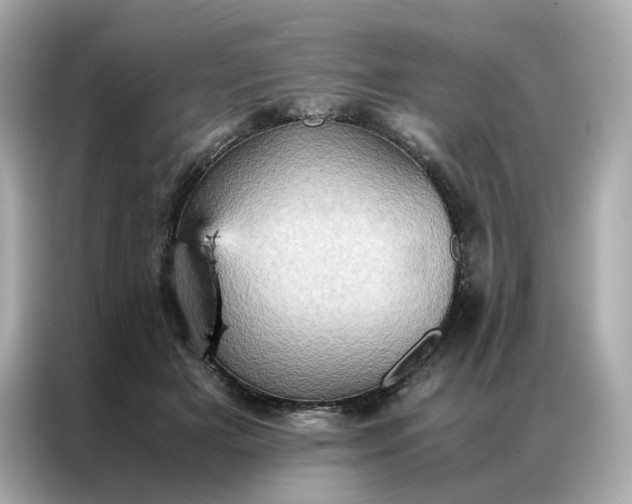 X0000086940505200704301140