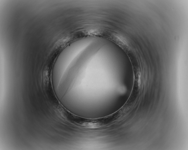 X0000086940506200704301140