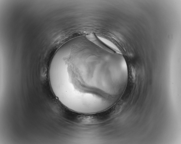 X0000086940507200704301140