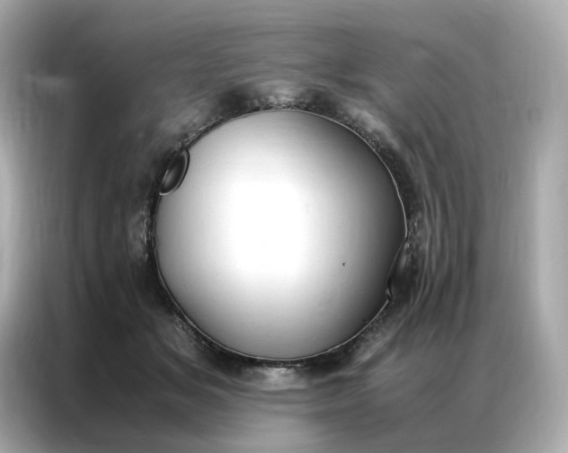 X0000086940509200704301140