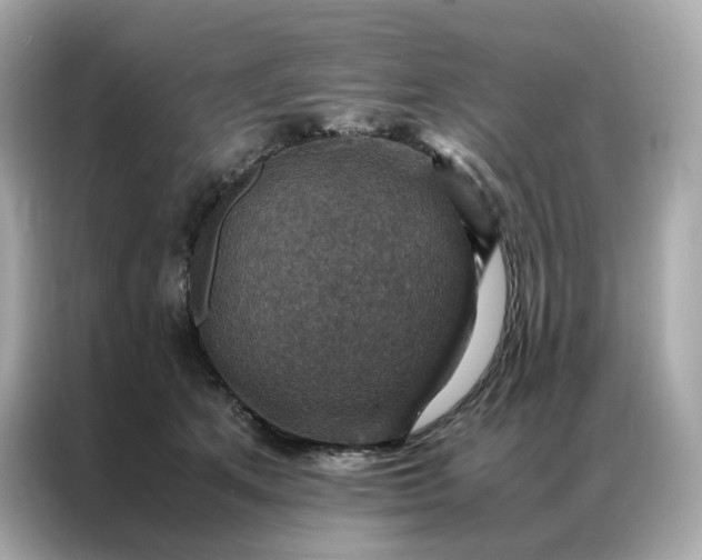 X0000086940513200704301140