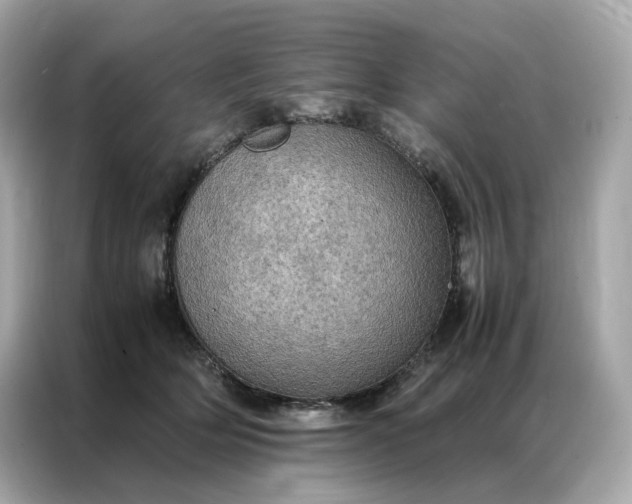 X0000086940514200704301140