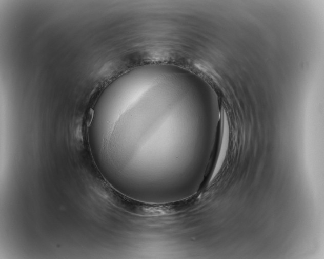 X0000086940516200704301140