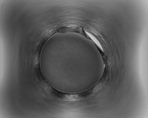 X0000086940517200704301140