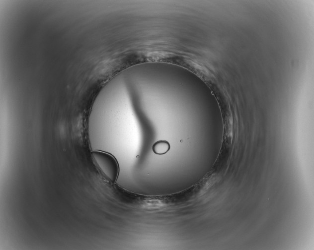 X0000086940519200704301140