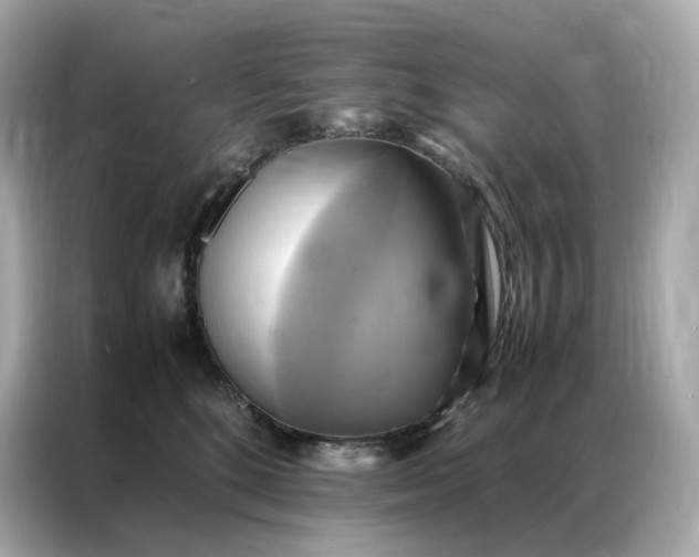 X0000086940520200704301140