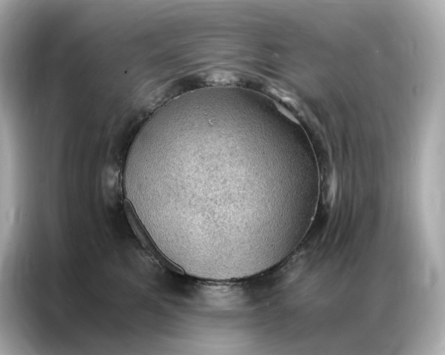 X0000086940521200704301140