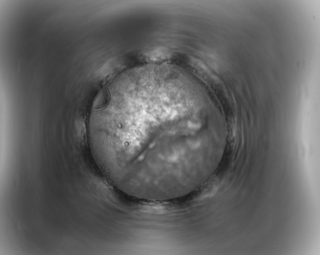 X0000086940523200704301140