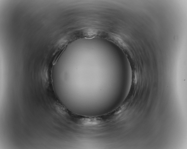 X0000086940524200704301139