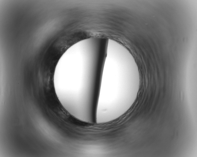 X0000086940525200704301139