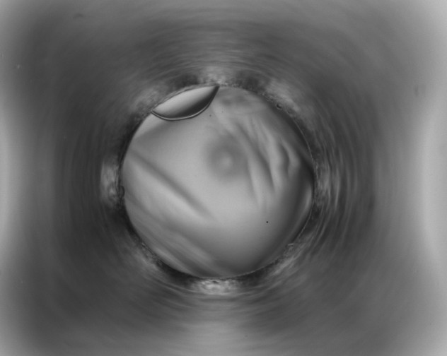 X0000086940526200704301139