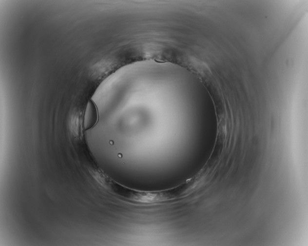 X0000086940527200704301139