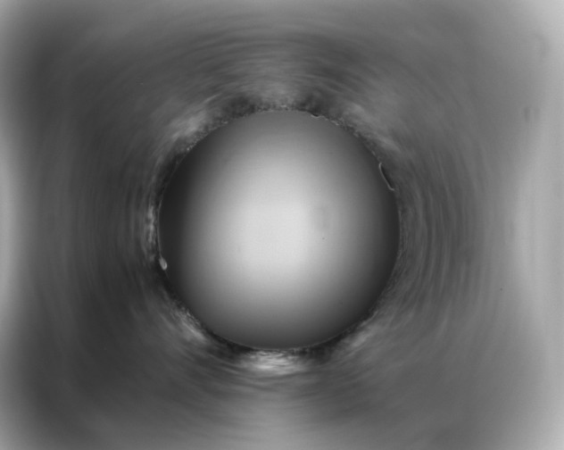 X0000086940528200704301139