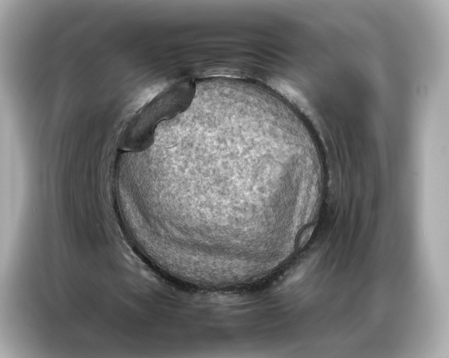 X0000086940529200704301139