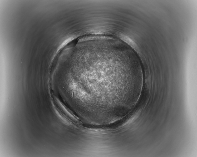 X0000086940530200704301139