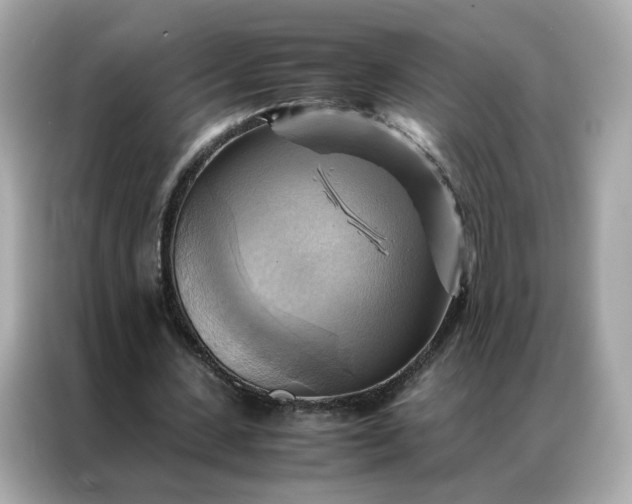 X0000086940531200704301139