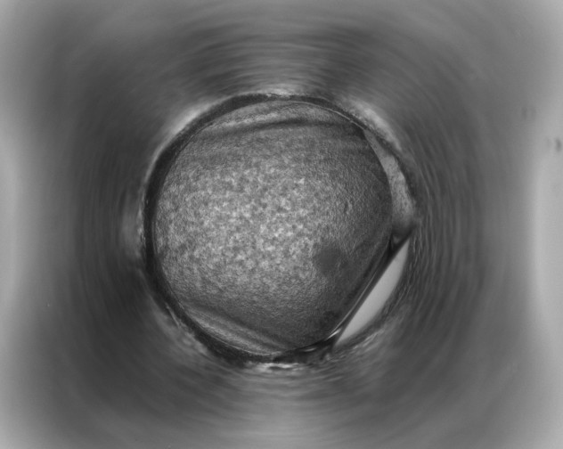 X0000086940532200704301139