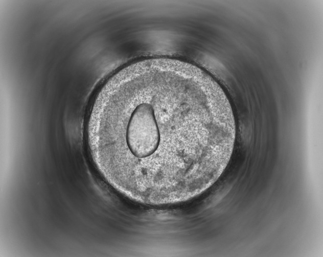 X0000086940534200704301139