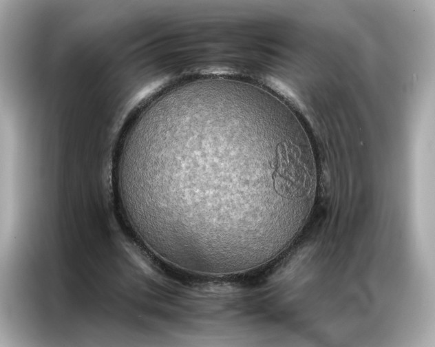 X0000086940535200704301139