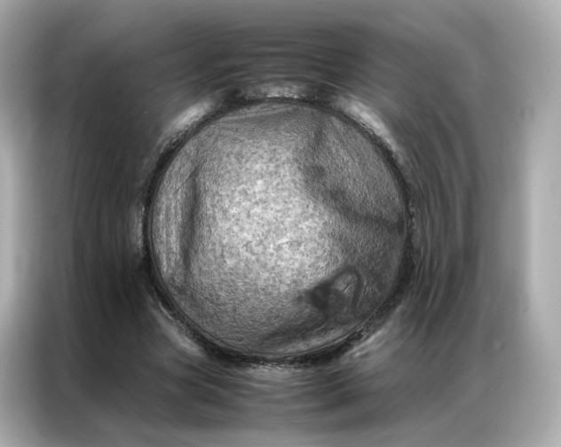 X0000086940537200704301139
