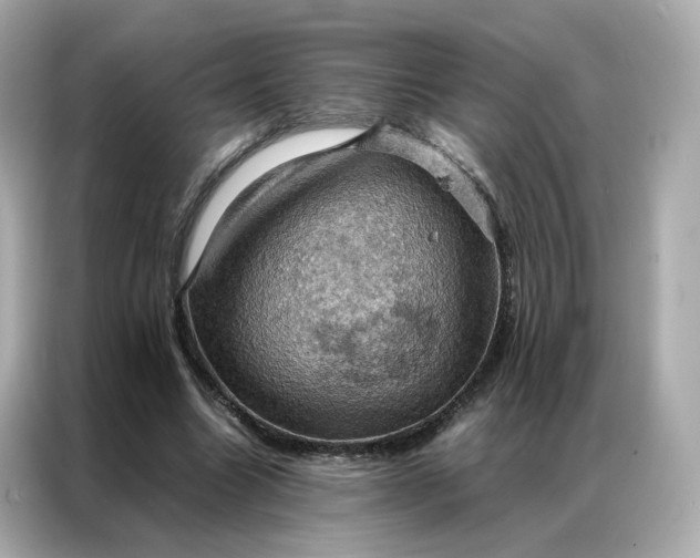 X0000086940538200704301139