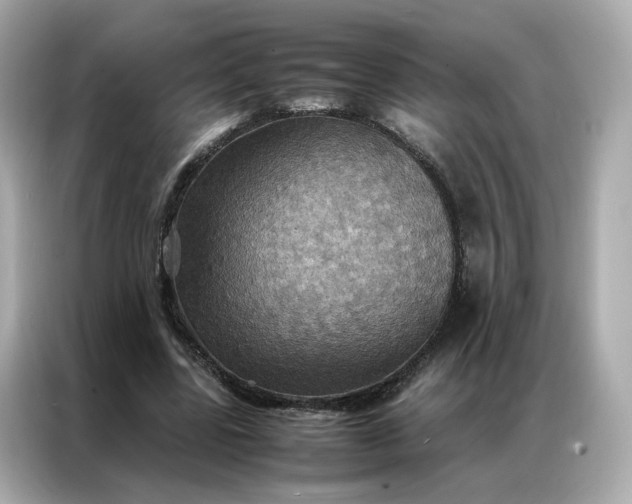 X0000086940539200704301139