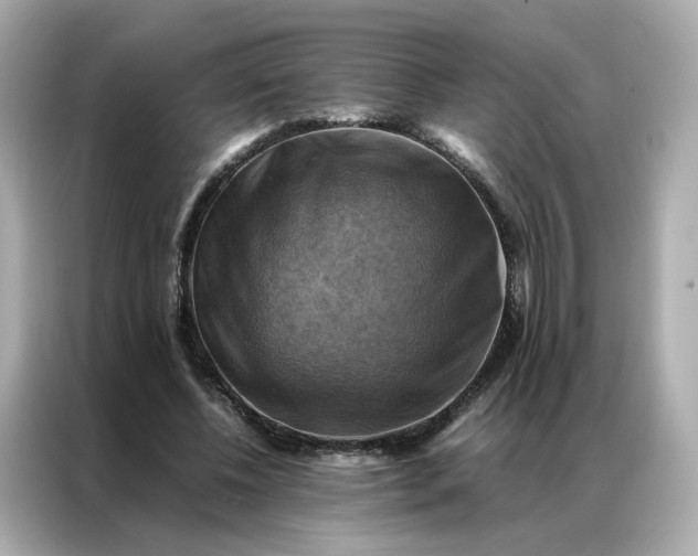 X0000086940540200704301139