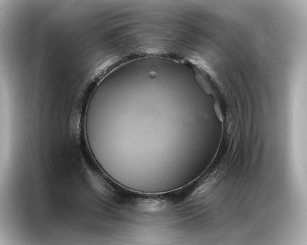 X0000086940542200704301139