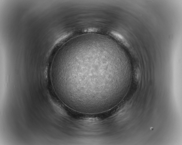 X0000086940543200704301139