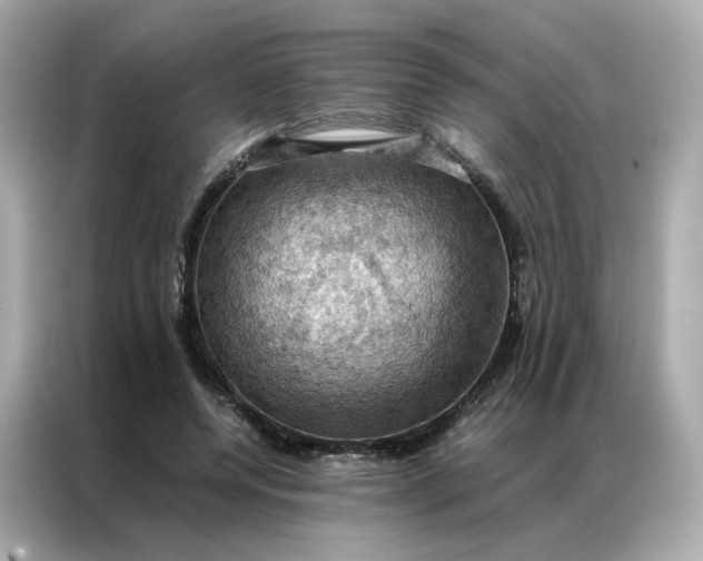 X0000086940544200704301139