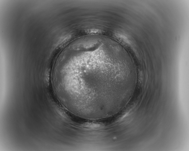 X0000086940545200704301139